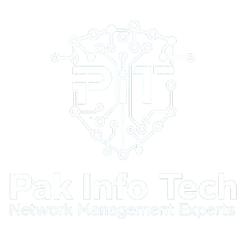 Pak Info Tech Logo